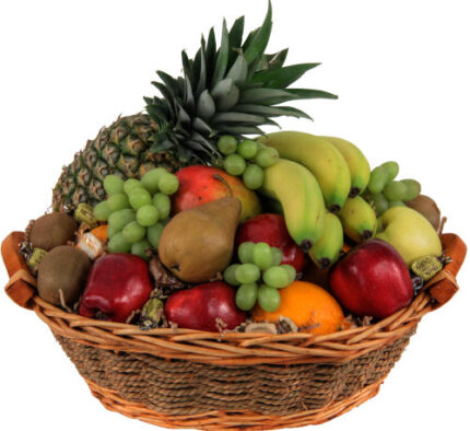 Fruits of the World(G-003)